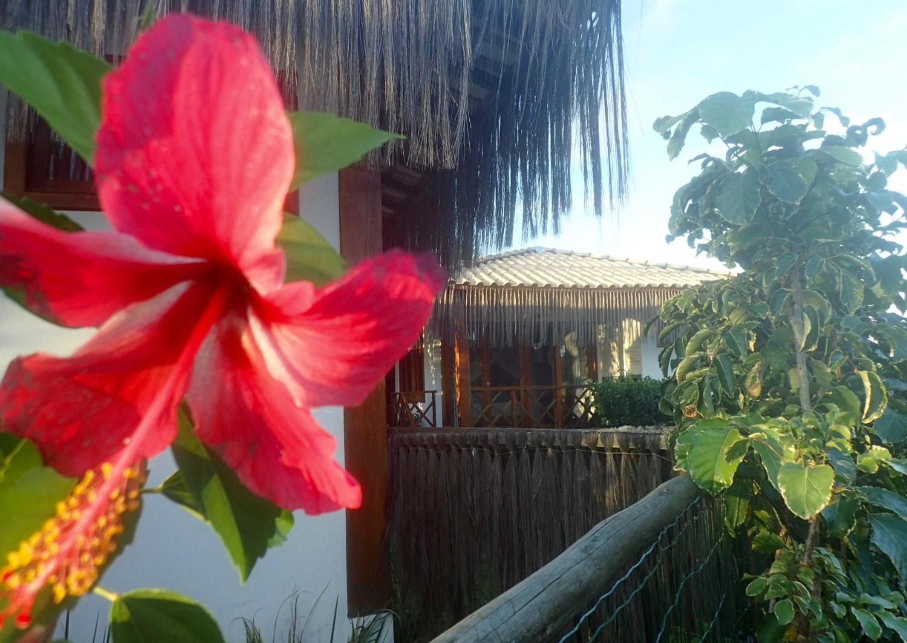 Luar do Leão Bungalow Hotel Barra Grande  Exterior foto